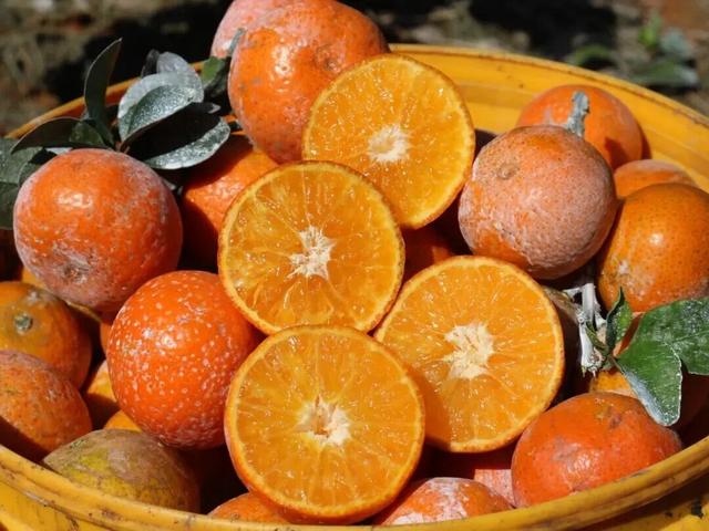 南宁就是冬日旅游天花板！摘果+跑马+演唱会+美景打卡，带你玩转“水果自由”之旅