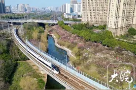 合肥春日里别样的风景线：“复兴号”穿越花海（图）图片