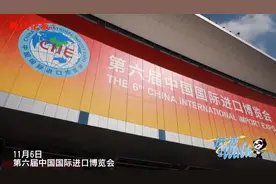 进博Walk丨沙漠蓝莓、黄皮“火龙果”……舌尖上的进博超美味图片