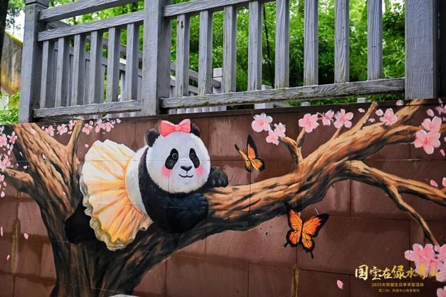 雅安又多了一处熊猫彩绘，你打卡了吗？