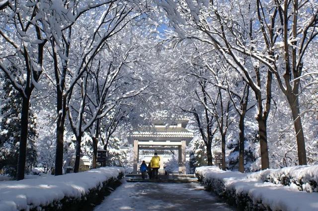 北京全城等雪来！故宫约不上？这些地方随手一拍也是大片——