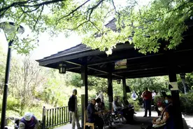 明确要求！云南出台“16条”保障旅居产业用地图片