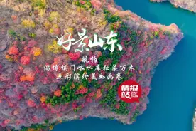 果然视频·好景山东|淄博镇门峪水库秋染万木，五彩缤纷美如画卷图片