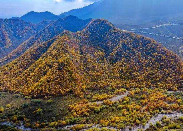 【国庆专栏】沿着公路浪秋景：青海秋日自驾路书