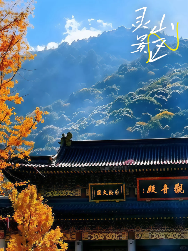 冬游凉山 | 被阳光吻醒的冬天