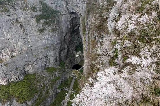 一眼心动！雾凇，山巅的“冰雪派对”