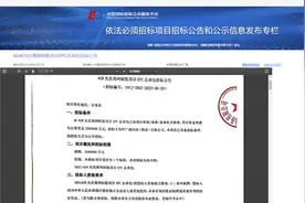 350亿项目终止：假央企为谋利益“狐假虎威”图片