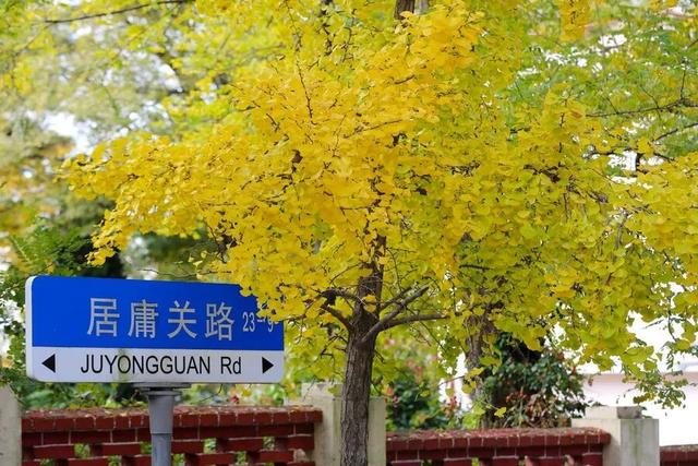 人已爆满！很多青岛人全家出动，乌泱乌泱的……今天这一幕，绝了！