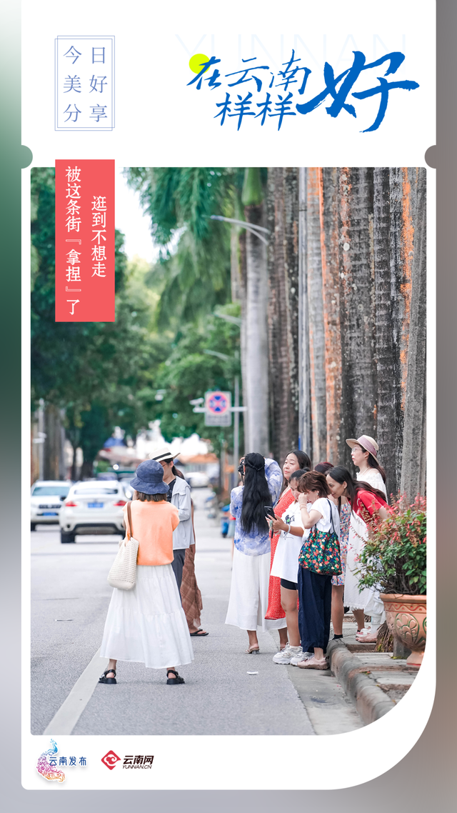 逛到不想走！被这条街“拿捏”了丨在云南样样好