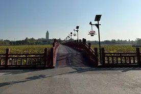 西江月·秋日微山湖游记图片