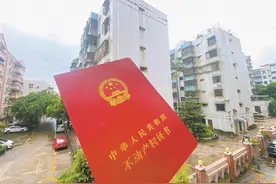 “断供保房”背后的灰色地带图片