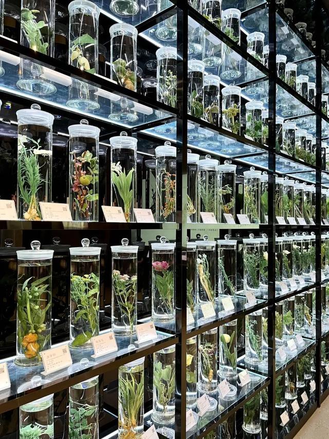 大武汉一日 | 武汉这个博物馆，有了新玩法