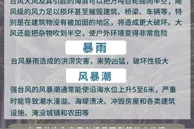 聚焦防汛抗洪|台风来袭，如何防范应对？图片