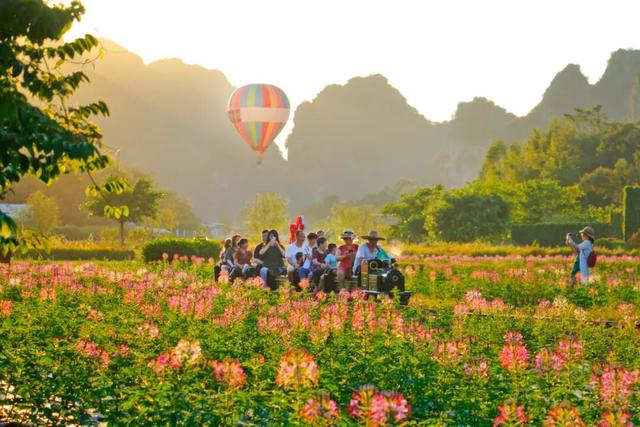 来清远的理由，不止这一个