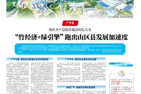 广宁县：“竹经济+绿引擎”跑出山区县发展加速度图片
