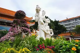 “2024深圳仙湖植物园秋花集”来了！请收下周末游园攻略~图片