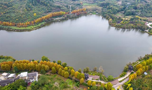 天眼影像｜黔西：湿地公园冬景美