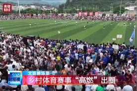 【社会新闻】“高燃”出圈！近500万人次参与，带动超50亿元收入！什么这么火→图片