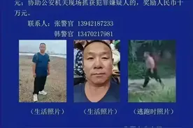 涉刑案重大嫌疑人潜逃！辽宁北票警方悬赏10万！图片