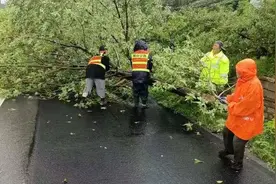 龙口公路中心全力以赴开展应急抢险 启动汛期公路安全隐患专项整治图片