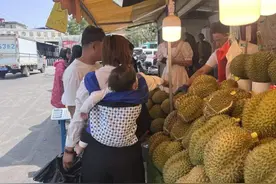 全网热搜！昆明10元/斤的榴莲，你买到了吗？图片