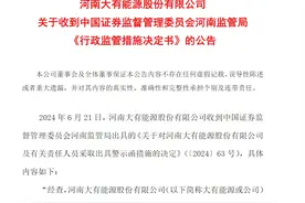 V观财报｜大有能源信披不准确、不及时被警示图片