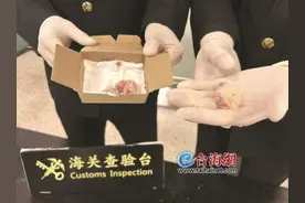 厦门海关查获3只濒危鹦鹉图片