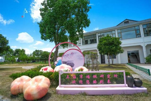 灯光长廊、山海秘境、西游演出，吕巷水果公园“蟠桃盛宴”灯会等你来