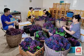 自流井区荣边镇：交通路网越发完善 产业发展动能澎湃图片