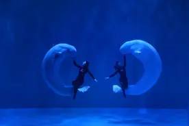 哈尔滨极地公园白鲸“海心同吻”与海狮海象极地喜剧团“五一”首秀图片