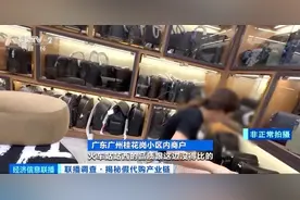 “代购”奢侈品哪来的？广州就高仿假货问题成立联合工作组图片