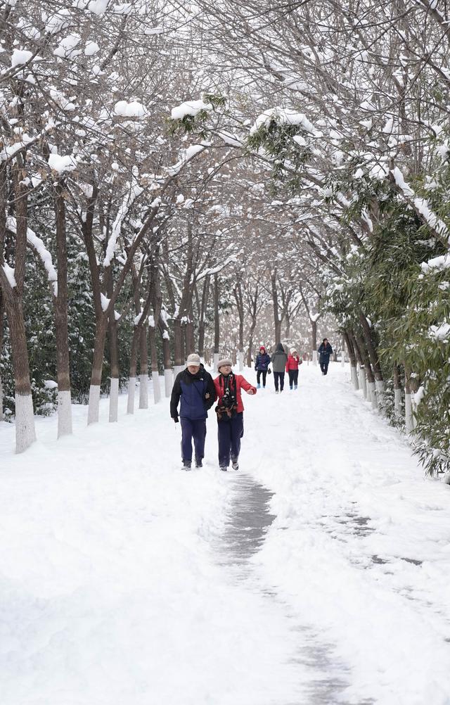 永定河与北京城同框，雪后宛如泼墨山水画