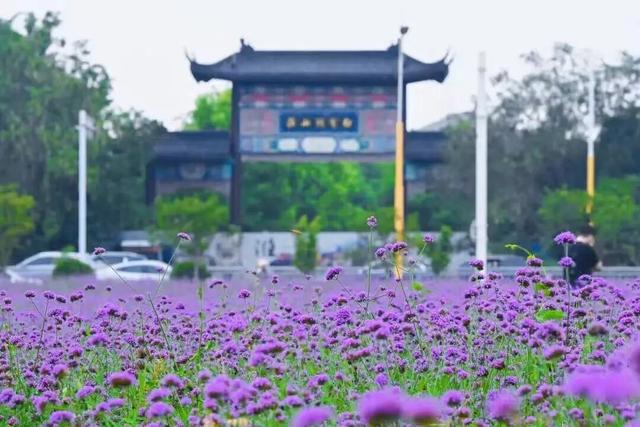 八天狂欢！嗨玩不停！国庆中秋，就“趣”淮安~