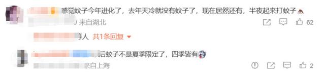 北京雪地惊现蚊子爬行	，蚊子出现抗寒性了？