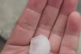 合肥这里正在下冰雹！个头还挺大图片