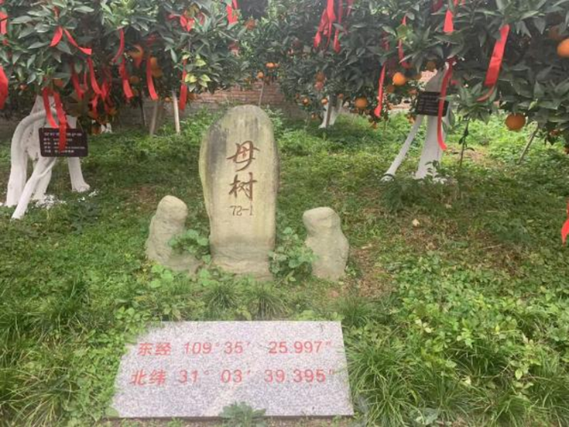 七大精品路线发布，让游客领略重庆奉节全域旅游之美