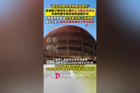 终止与俄合作协议 数百名俄专家将被迫离开瑞士图片