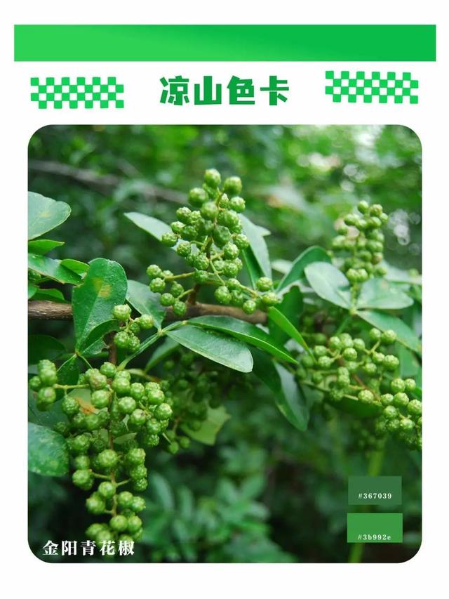 五彩大凉山，有多colourful？请打开这份凉山专属色卡