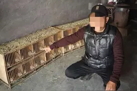 非法“养鸟”！贵州一男子被采取刑事强制措施图片