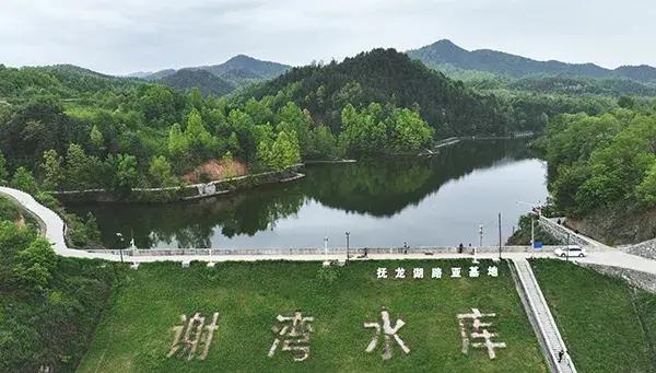 洛南音乐小镇、抚龙湖、溪乐谷民宿入选农业农村部夏季精品路线