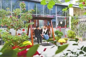 “小美”庭院扮靓“大美”乡村图片