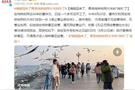 青岛栈桥拍照大爷被要求停止营业：属无照经营业户图片