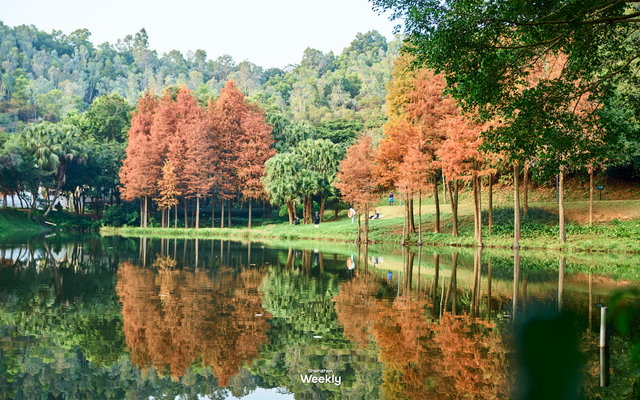 没人觉得龙岗的能量场很高吗？