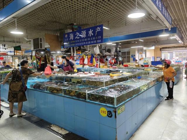 超强攻略！六大活动、六大夜市、九大海鲜市场等你探秘2025北部湾开海节！