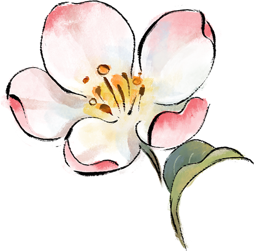 域见上海·域见奉贤｜冬春之交顶流花神C位出道！海湾国家森林公园梅花节定档大年初一