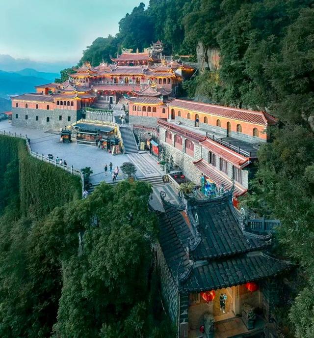 福建安溪：一树一寺两岸情 根脉传承万年青