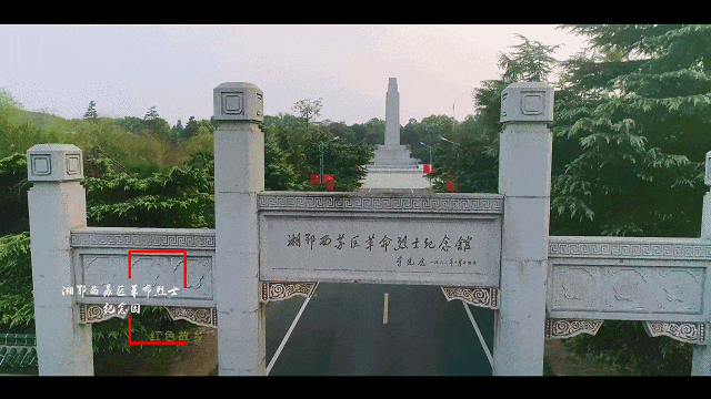 赤黄红·洪湖情 | 2025环洪湖马拉松，跑进水乡新画卷！