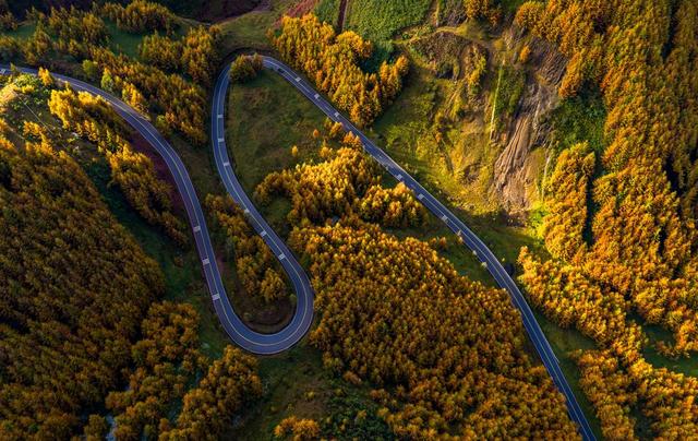 赏彩林不用去川西 凉山的“大兴安岭”，随手一拍就是大片！丨图集