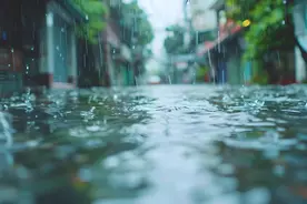 返乡人留心：今年首场寒潮或波及全国，上海除夕前或有小雨夹雪图片