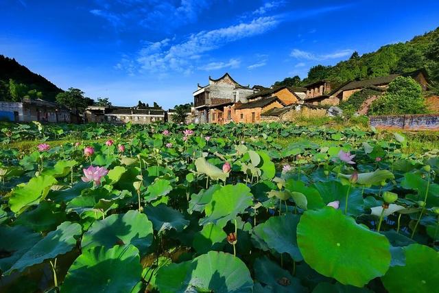 欢迎永州兄弟！盐城景区免费游